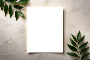 Clean Poster Minimal Display Mockup Scene