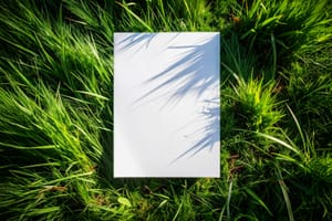 Green Grass Paper Mockup Blank