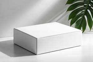 Packaging Box Mockup