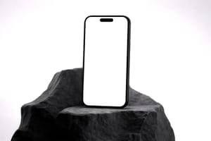 iPhone Stone Display Mockup
