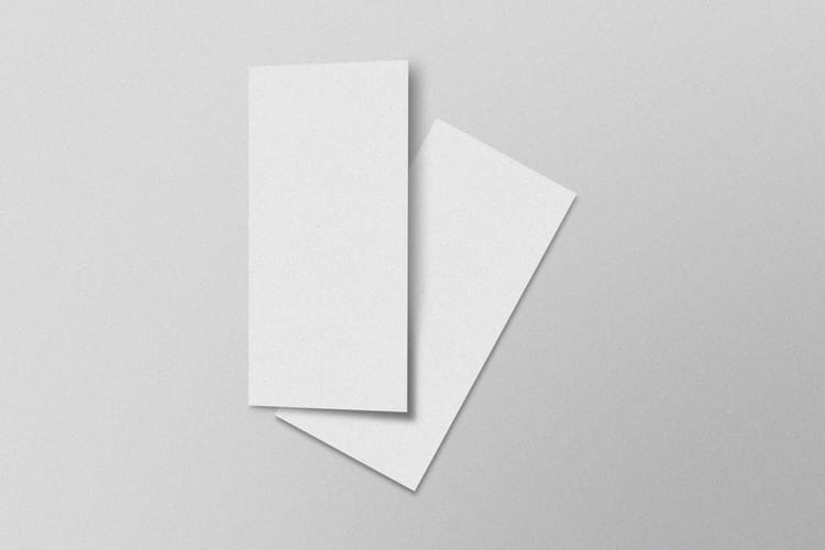 Elegant DL Paper Mockup